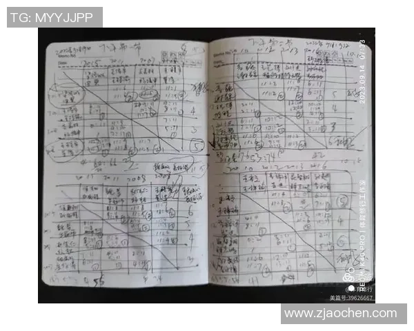 南京羽毛球队在冠军赛中的比赛经验与表现分析
