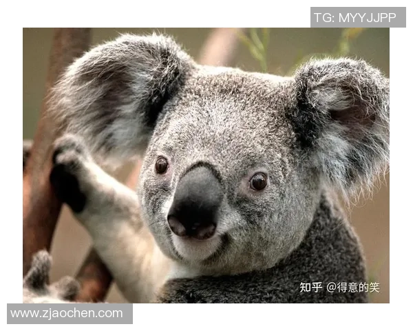 潮汕地区足球明星搞笑名字大盘点让你捧腹大笑的球场传奇